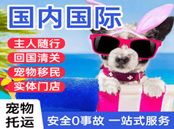 东郊空运地址国际宠物托运 【国